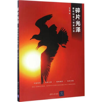 碎片光澤李子青書籍