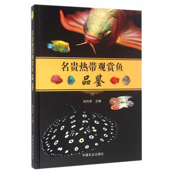 名貴熱帶觀賞魚品鑒