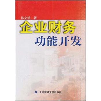 企業(yè)財務功能開發(fā)