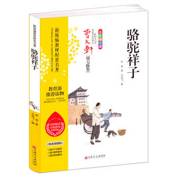 駱駝祥子小說書籍