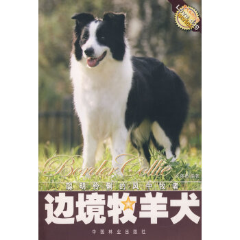 邊境牧羊犬