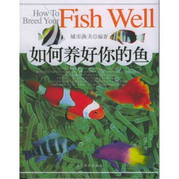 如何養好你的魚