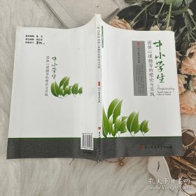 中小學(xué)生團體心理輔導(dǎo)的理論與實踐