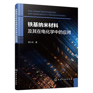 鐵基納米材料及其在電化學中的應用