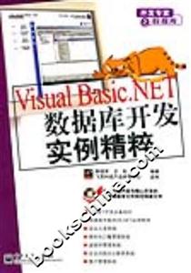 VisualBasicNET數據庫開發實例精粹