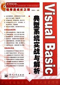 VisualBasic典型系統實戰與解析