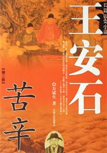 王安石長篇?dú)v史小說：長篇?dú)v史小說