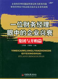 一位財(cái)務(wù)經(jīng)理眼中的企業(yè)興衰集團(tuán)與并購(gòu)篇