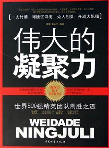 偉大的凝聚力世界500強精英團隊制勝之道