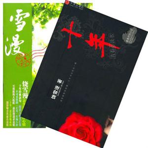 《十年青春療傷小說(shuō)》讀后感400字：十年青春，療傷之旅，人物與情感的糾葛，一場(chǎng)觸動(dòng)心靈的懸念之旅！