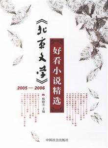 《北京文學》2005~2006好看小說精選