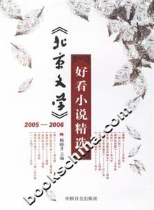 《北京文學》20052006好看小說精選