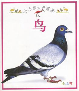 小小孩大開眼界鳥