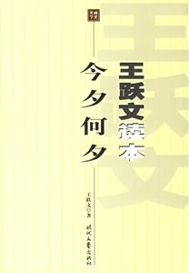 今夕何夕王躍文官場小說