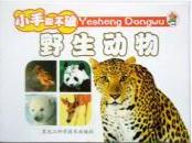 小笨熊成長啟蒙系列小笨熊動物百科[野生動物]