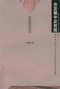 在發展中反貧困經濟與管理系列研究叢書