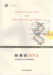 《林肯的DNA》讀后感400字：林肯的基因之謎，情感與歷史的交織，一場關于身份與命運的深度探索！