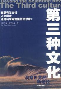 《第三種文化洞察世界的新途徑》讀后感400字：第三種文化的神秘面紗，人物思維的碰撞與融合，一場關于新視角與洞察力的探索之旅！