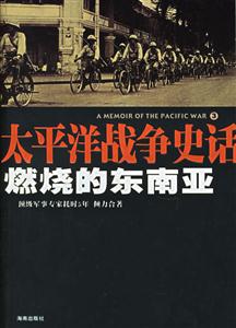 《燃燒的東南亞》讀后感400字：戰火中的情感糾葛，人物命運的沉浮，一場關于熱情與沖突的深度探索！