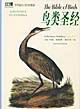 世界偉大的鳥類圖譜珍藏thebibleofbirds鳥類圣經