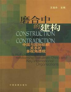 《磨合中的建構》讀后感800字：成長的旋律，揭示個人與社會互動的奧秘！