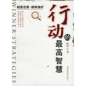 行動(dòng)的最高智慧銷(xiāo)售佳案精解細(xì)析