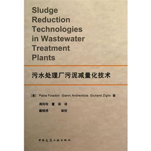 污水處理廠污泥減量化技術(shù)